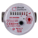 ZÄHLER plattform Wasserzähler 80 mm Warm bis 90°C Eichung 2024